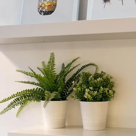 Apartment Comfortable In Marques De Pombal Lisbon